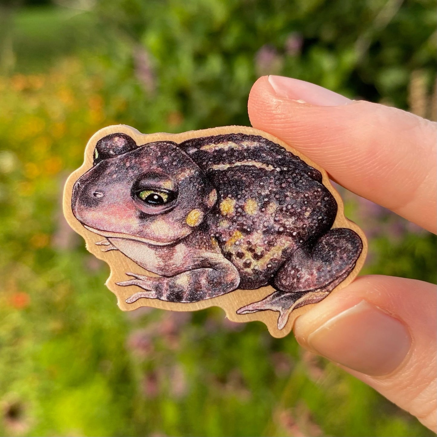 Spadefoot Toad Pin