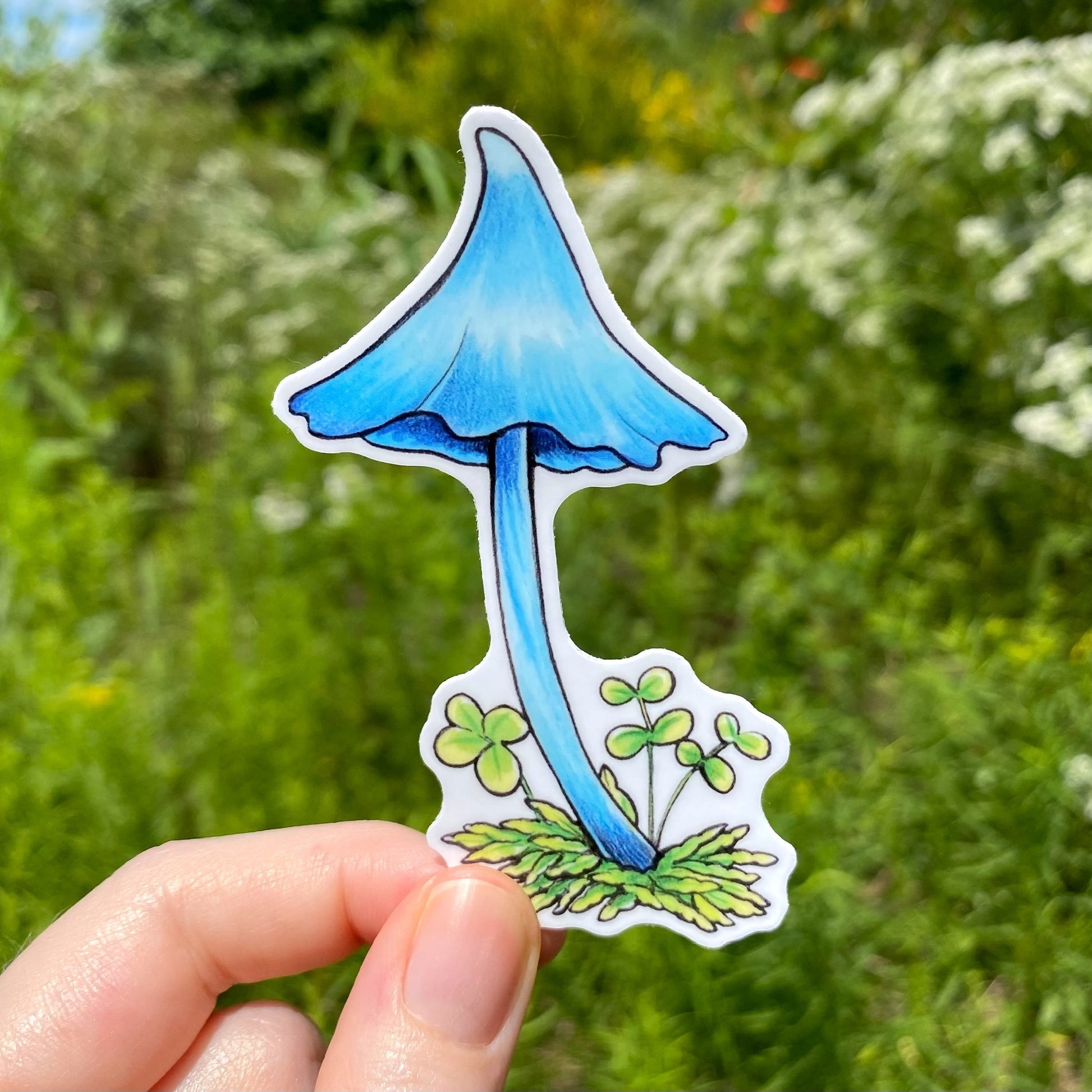 A hand holding a weatherproof vinyl sticker of a blue werewere-kōkako mushroom.