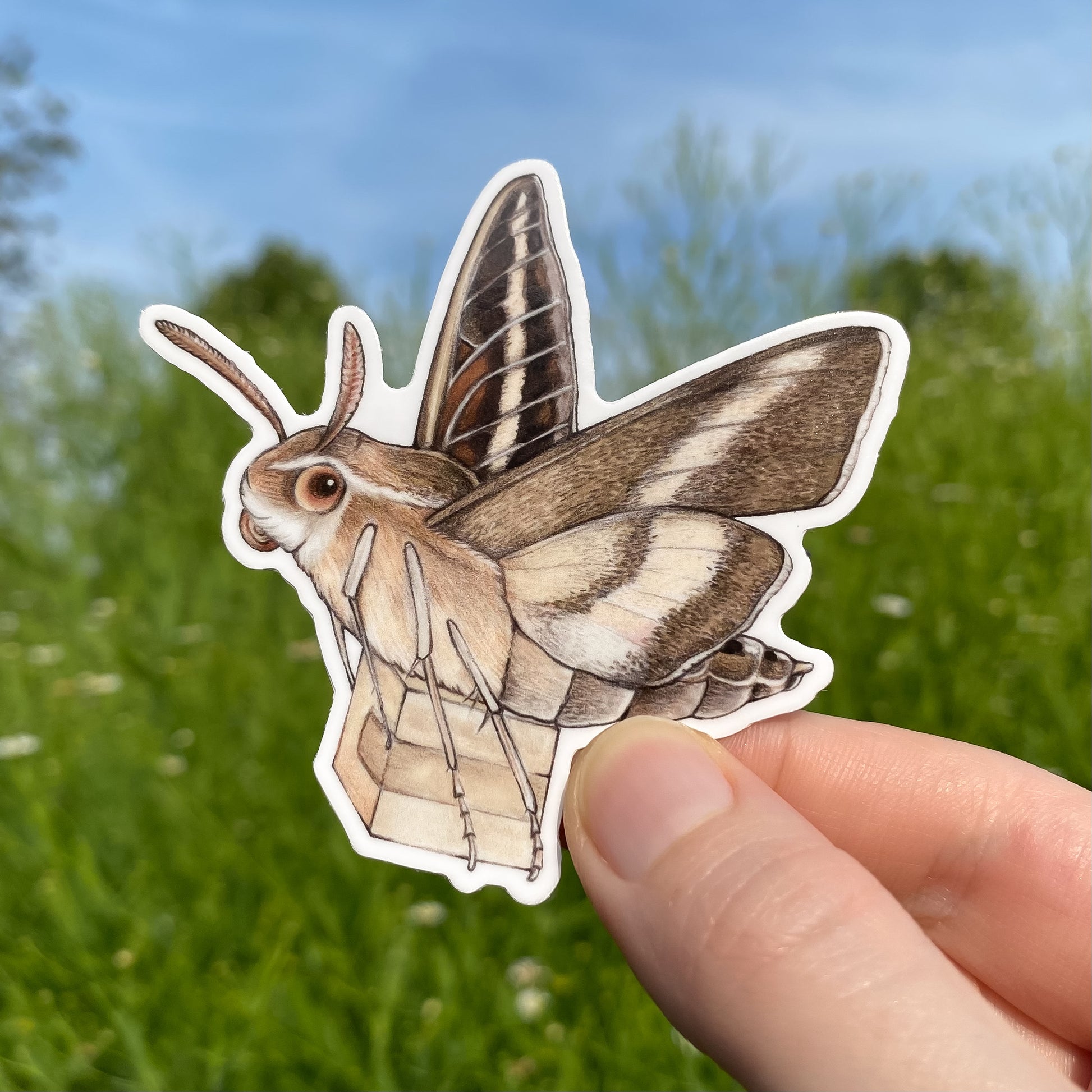 A hand holding a weatherproof vinyl sticker of a white-lined sphinx moth carrying a package.