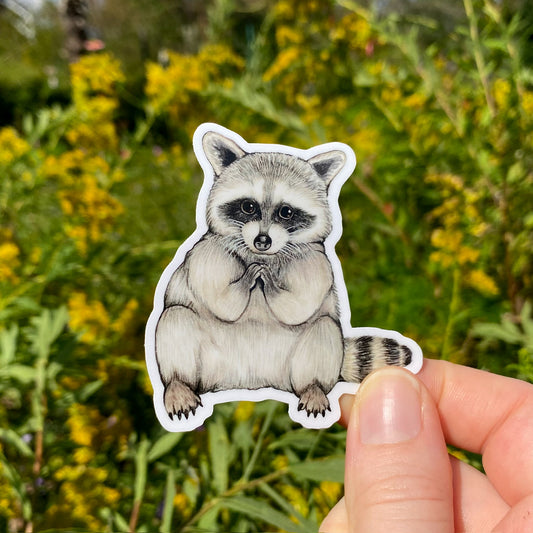 A vinyl sticker of a baby raccoon held by a hand, with a background of plants and flowers.