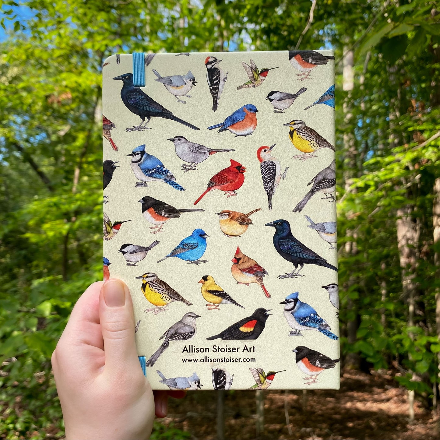Notebook with bird illustrations held in front of a forest background