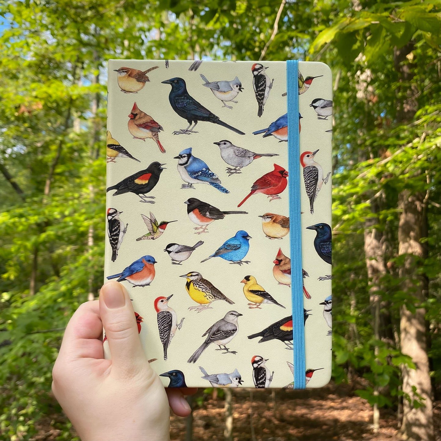 Notebook with bird pattern held in front of a forest background