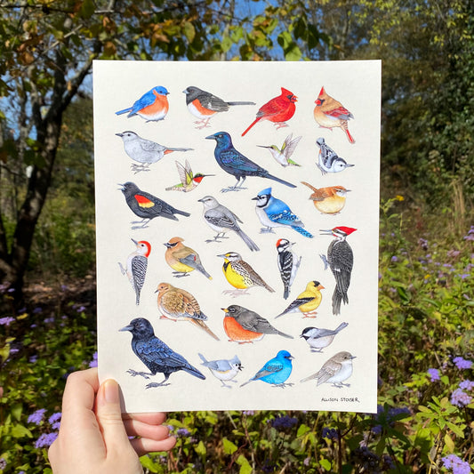 Illustration of various birds held in front of a natural background with trees and flowers.