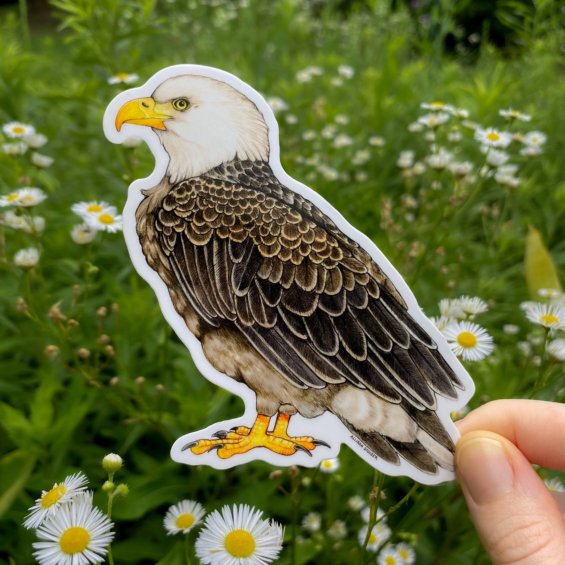 Sticker of a bald eagle held in front of a natural background with greenery and flowers.