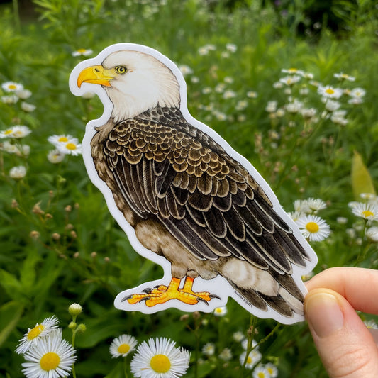 Sticker of a bald eagle held in front of a natural background with greenery and flowers.