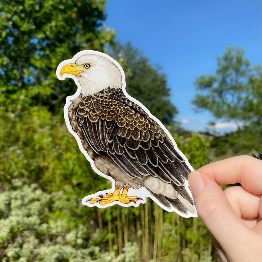 A hand holding a sticker of a bald eagle.