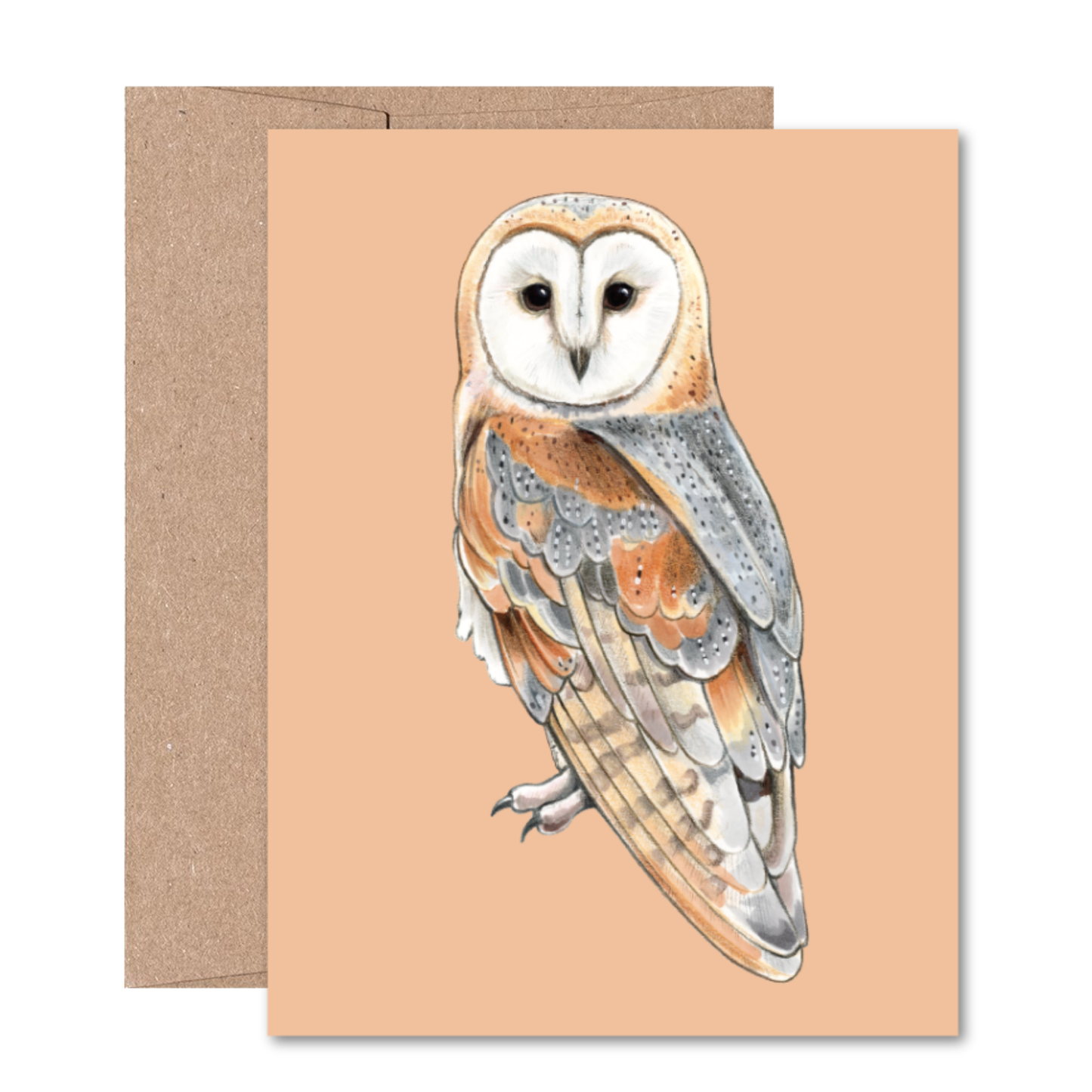 North American Owls Boxed Card Set