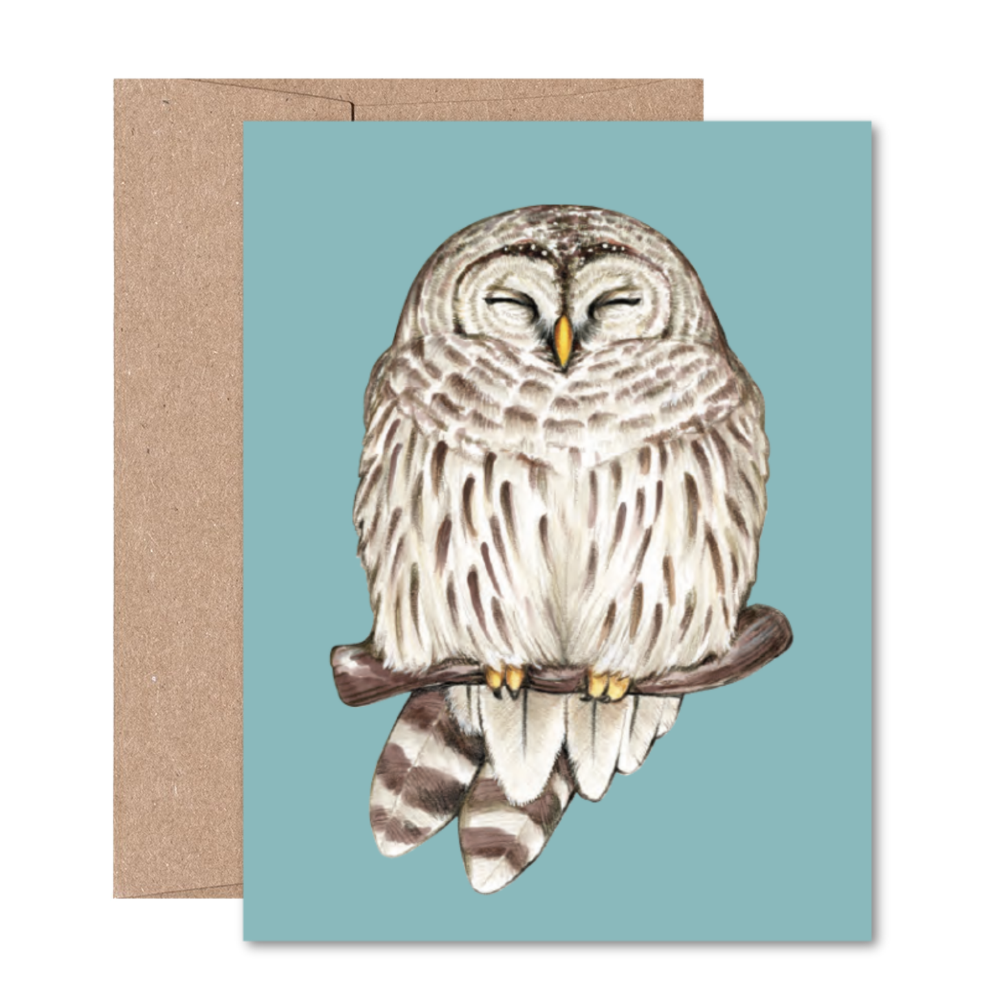 North American Owls Boxed Card Set