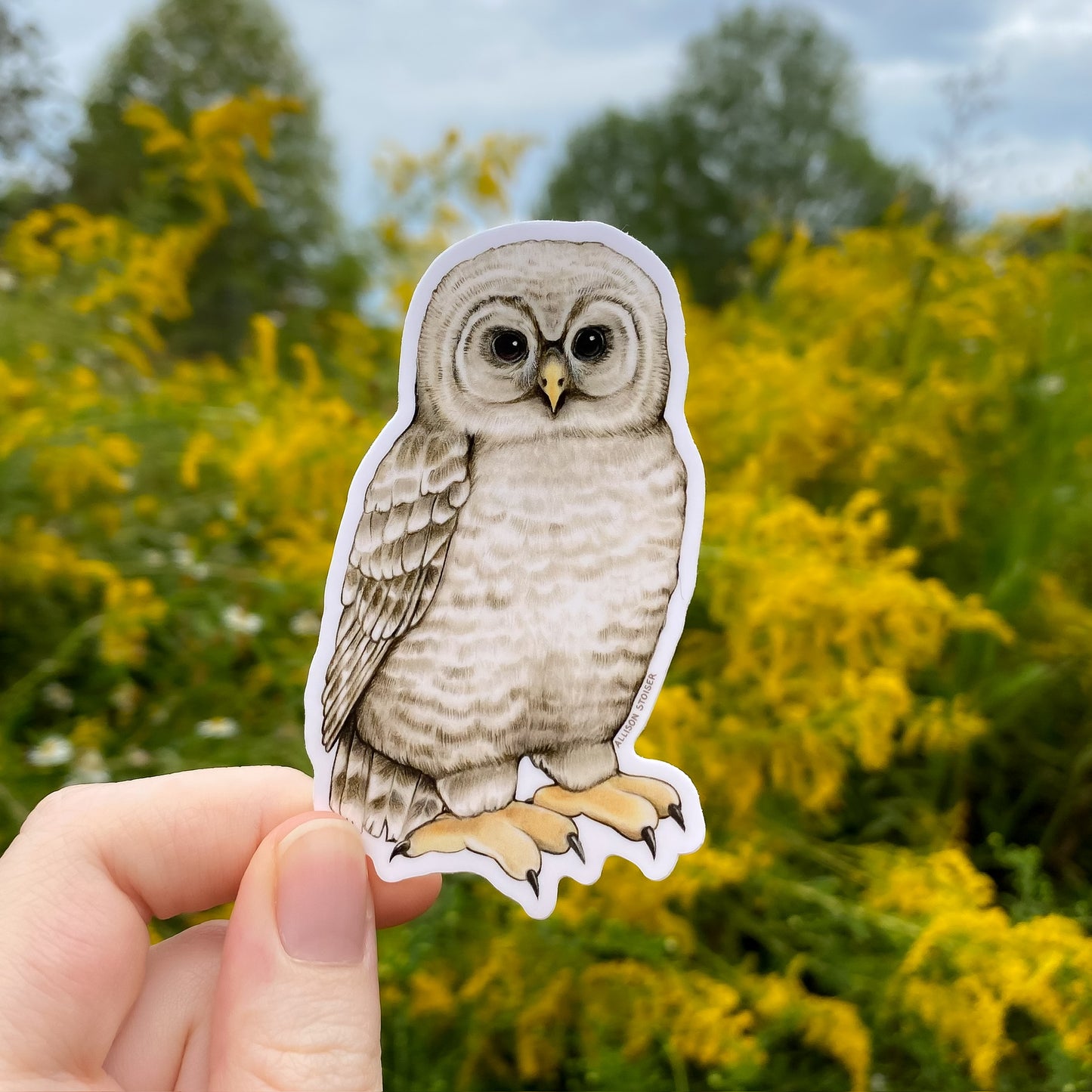 Hand holding a sticker of a barred owl chick against a natural background with trees and yellow flowers.