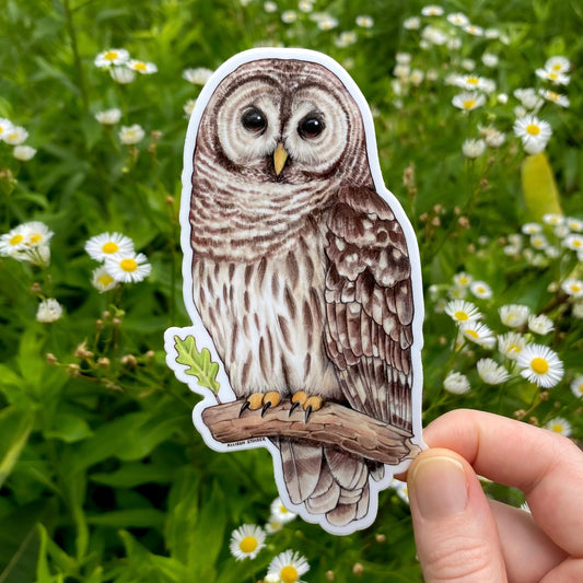 Sticker of a barred owl held in front of a natural background with greenery and flowers