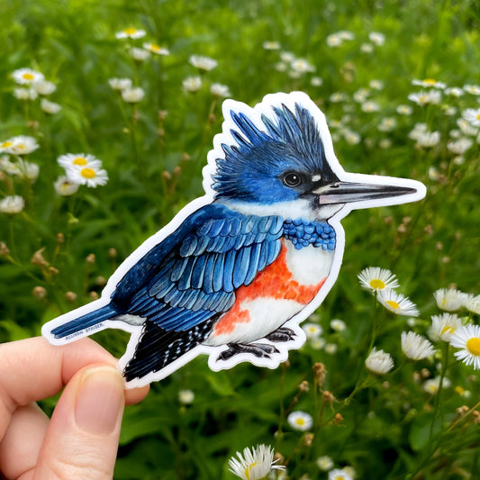 Hand holding a belted kingfisher sticker with a natural background of green grass and white flowers.
