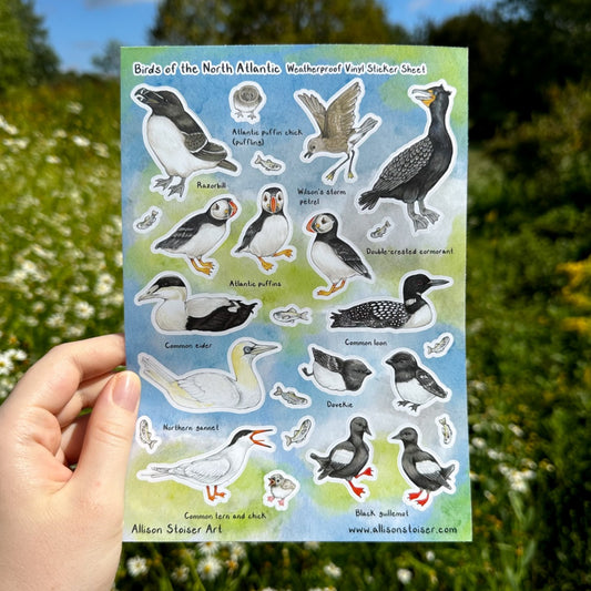 Birds of the North Atlantic Sticker Sheet