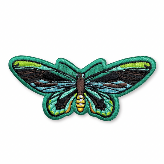 Patch of a birdwing butterfly on a white background