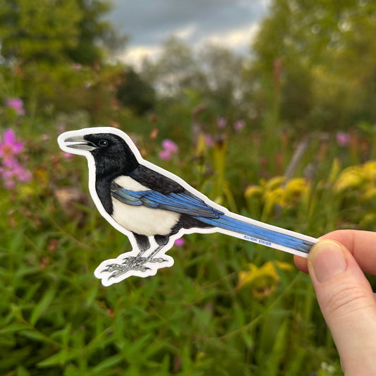A die-cut sticker of a magpie with black, white, and blue coloring, held by a hand against a blurred outdoor garden background.