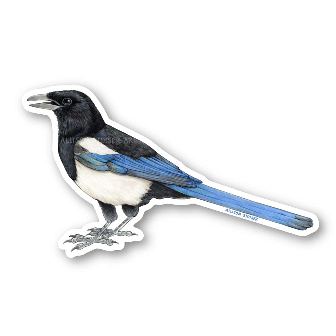 A die-cut sticker featuring an illustration of a magpie, shown on a plain white background.