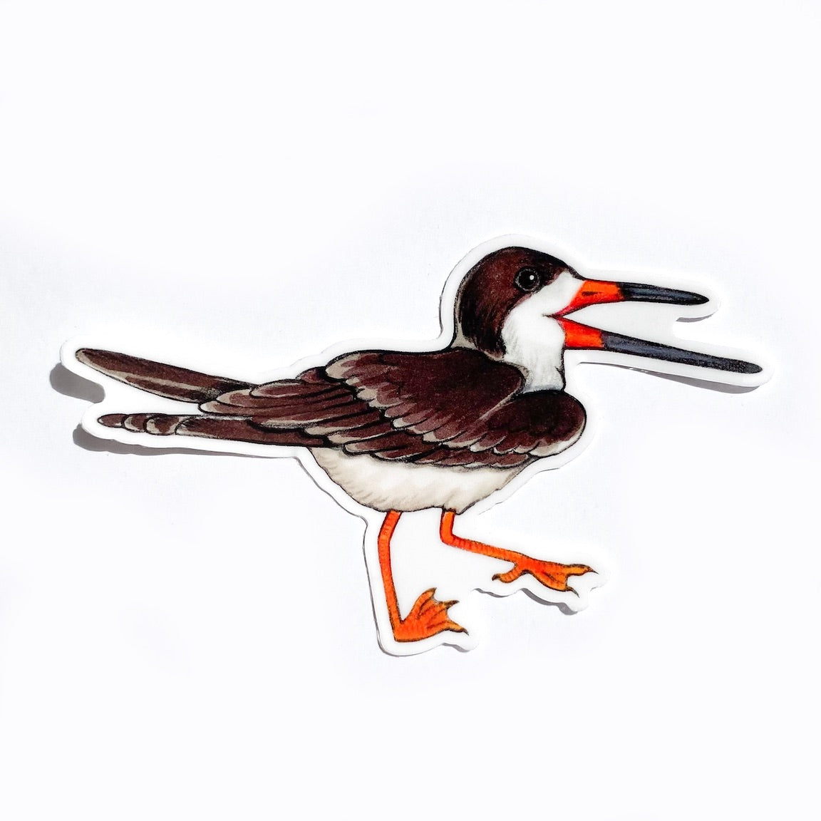 A sticker of a black skimmer on a white background.