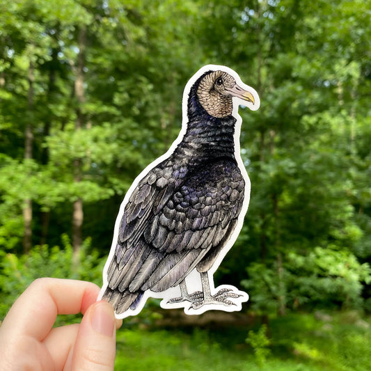 A hand holding a sticker of a black vulture.