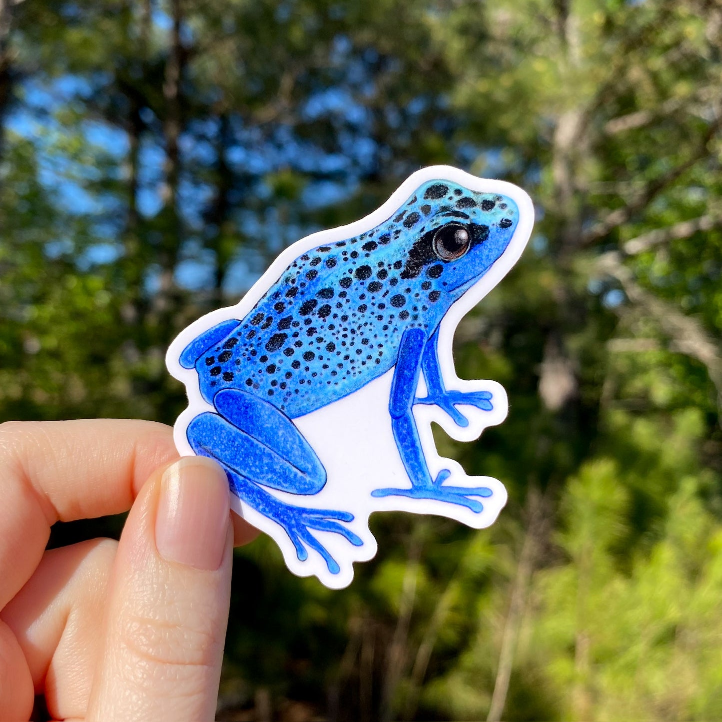 A hand holding a weatherproof vinyl sticker of a blue poison dart frog with a blurred background.