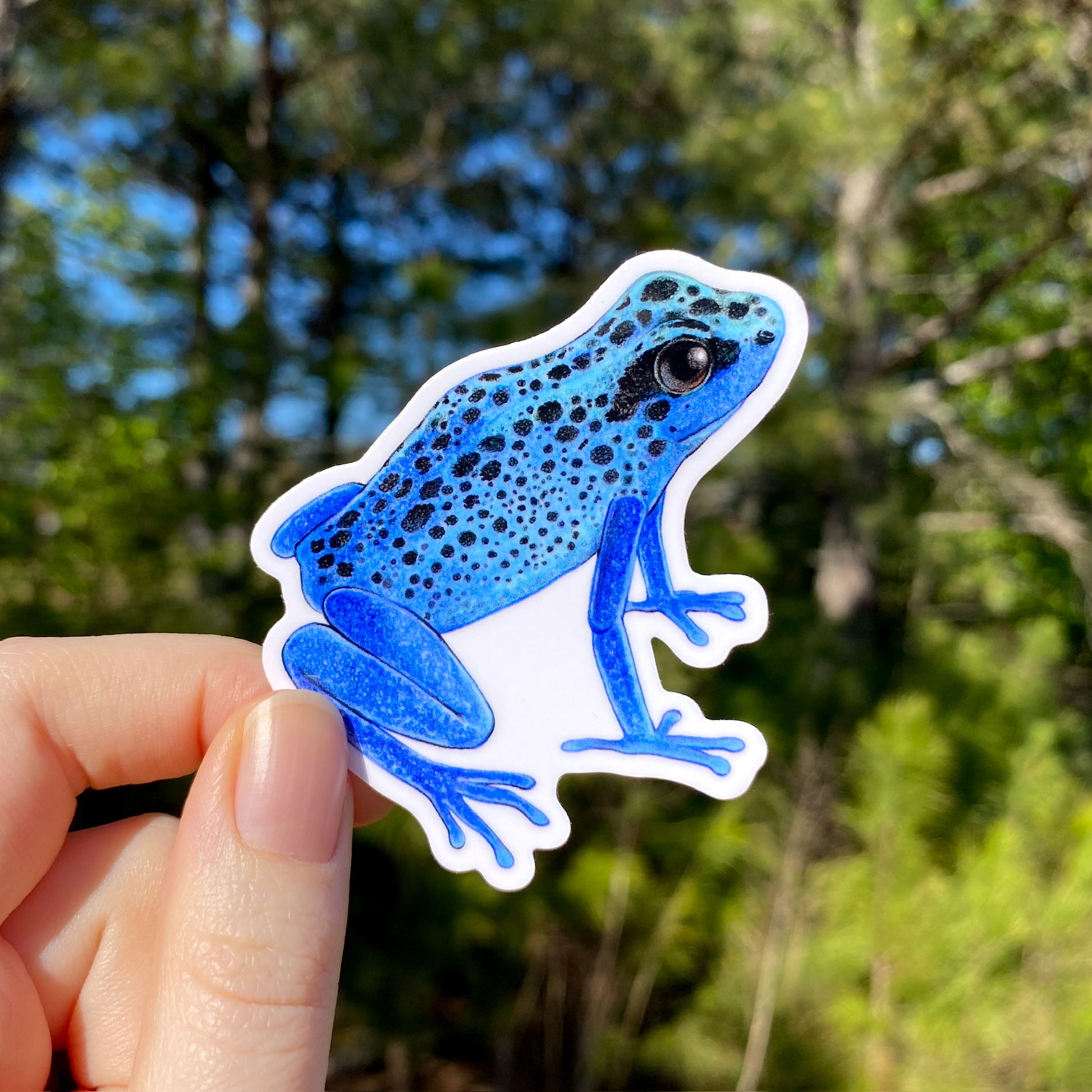 A hand holding a weatherproof vinyl sticker of a blue poison dart frog with a blurred background.