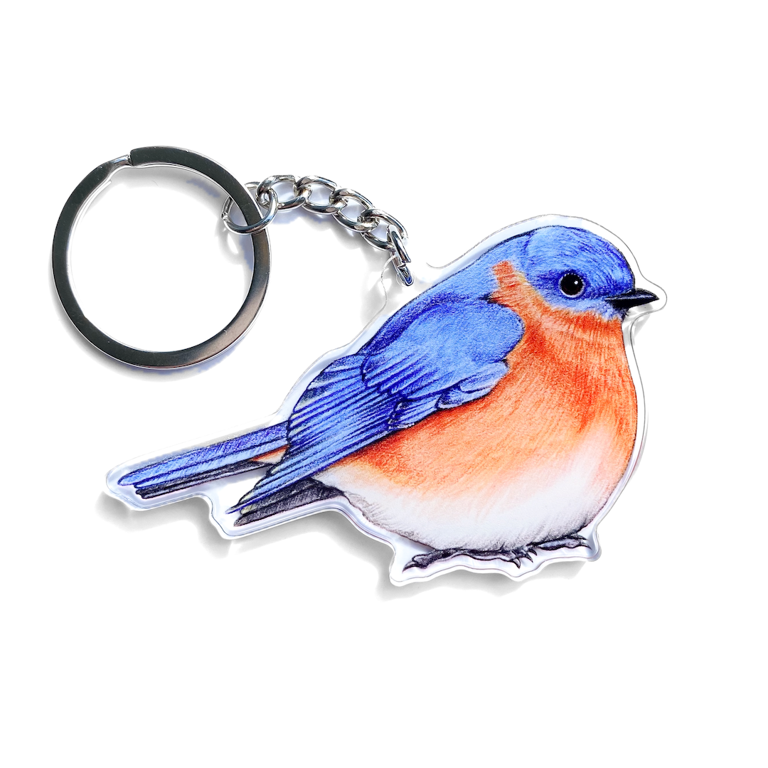 Bluebird Keychain Eastern Bluebird Keychain – Allison Stoiser Art