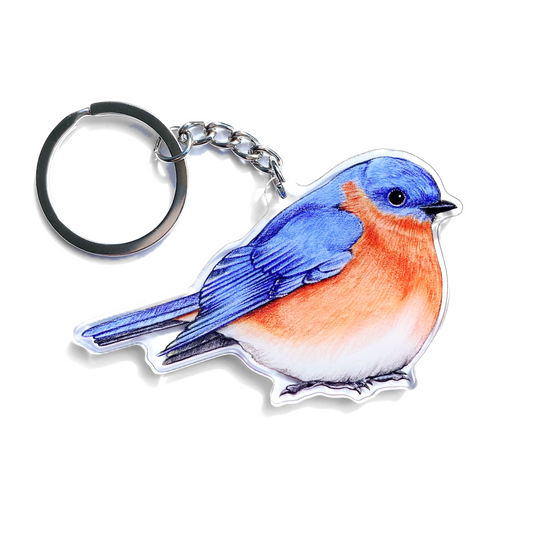 A keychain featuring an eastern bluebird