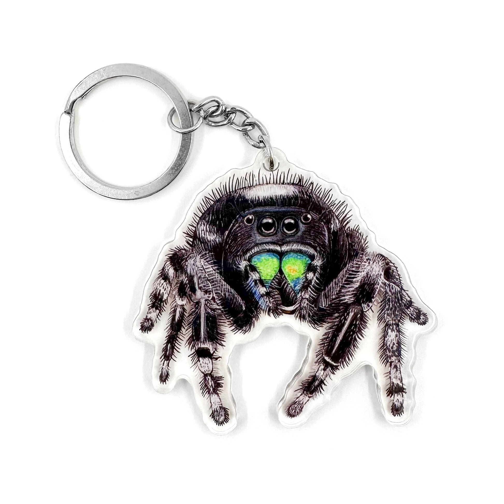 A keychain featuring an illustration of a bold jumping spider