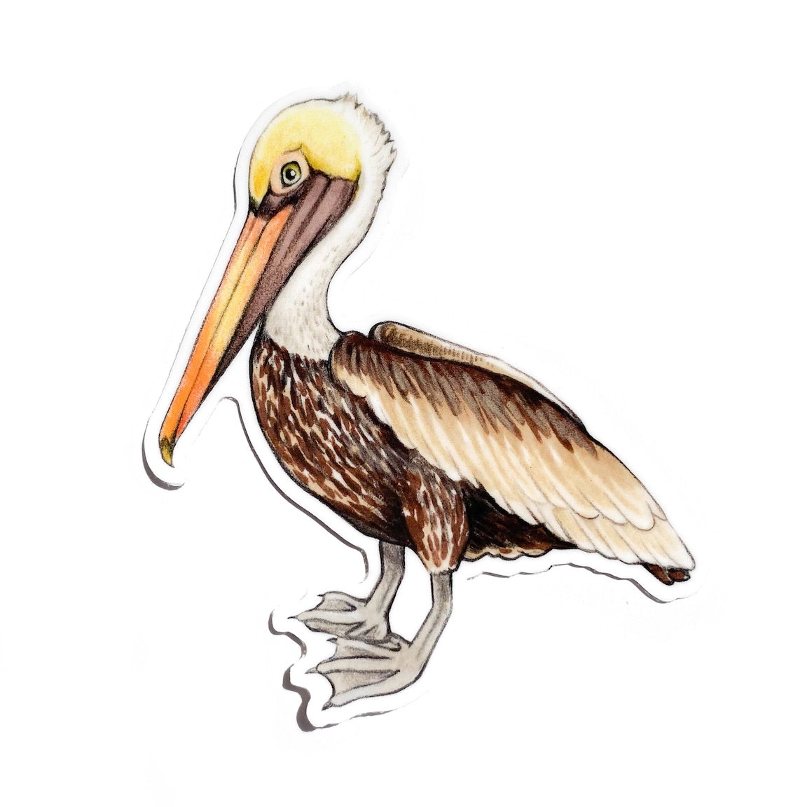 A sticker of a brown pelican on a white background.