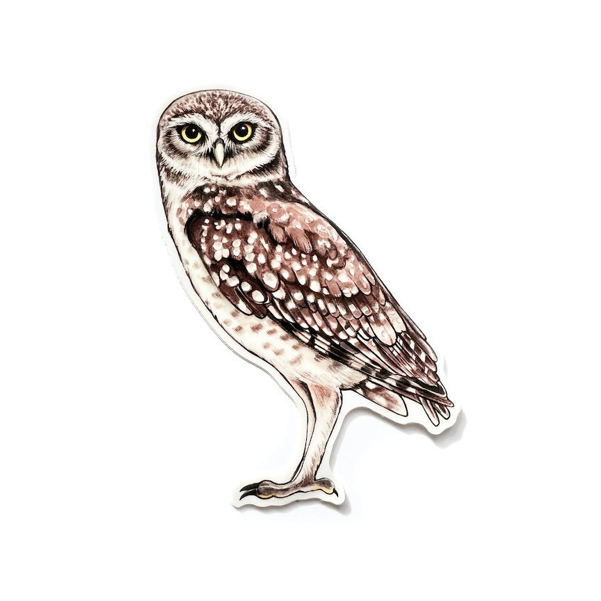 A weatherproof vinyl sticker featuring an illustration of a burrowing owl