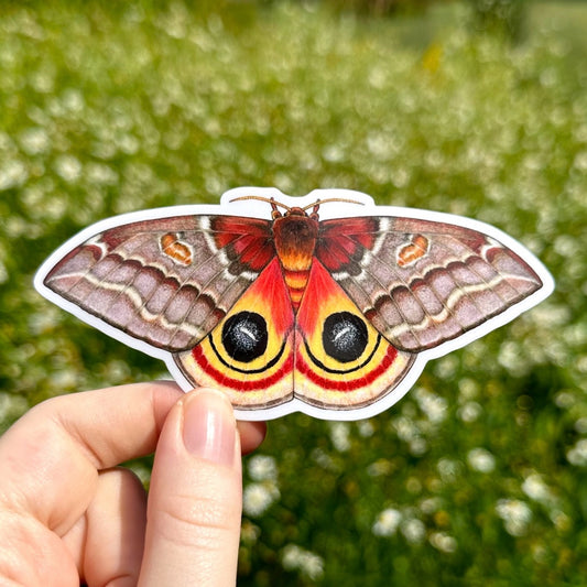 Female Io Moth Weatherproof Vinyl Sticker