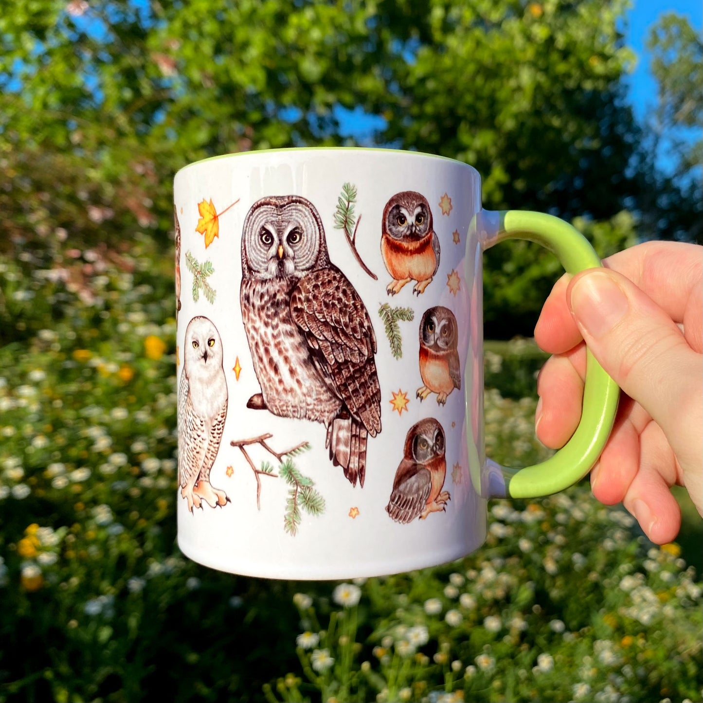 Owls of the Eastern United States Mug