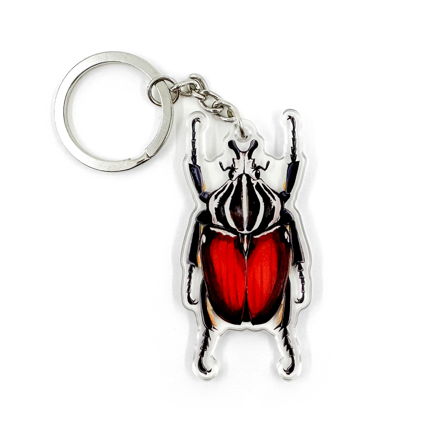 Goliath Beetle Keychain