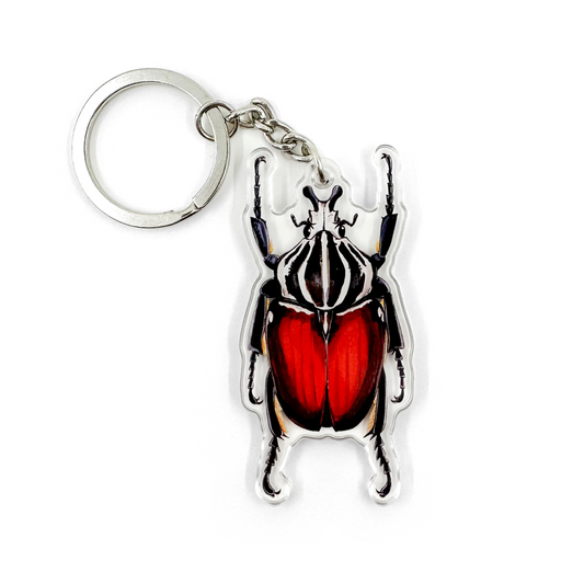 A keychain featuring a Goliath beetle