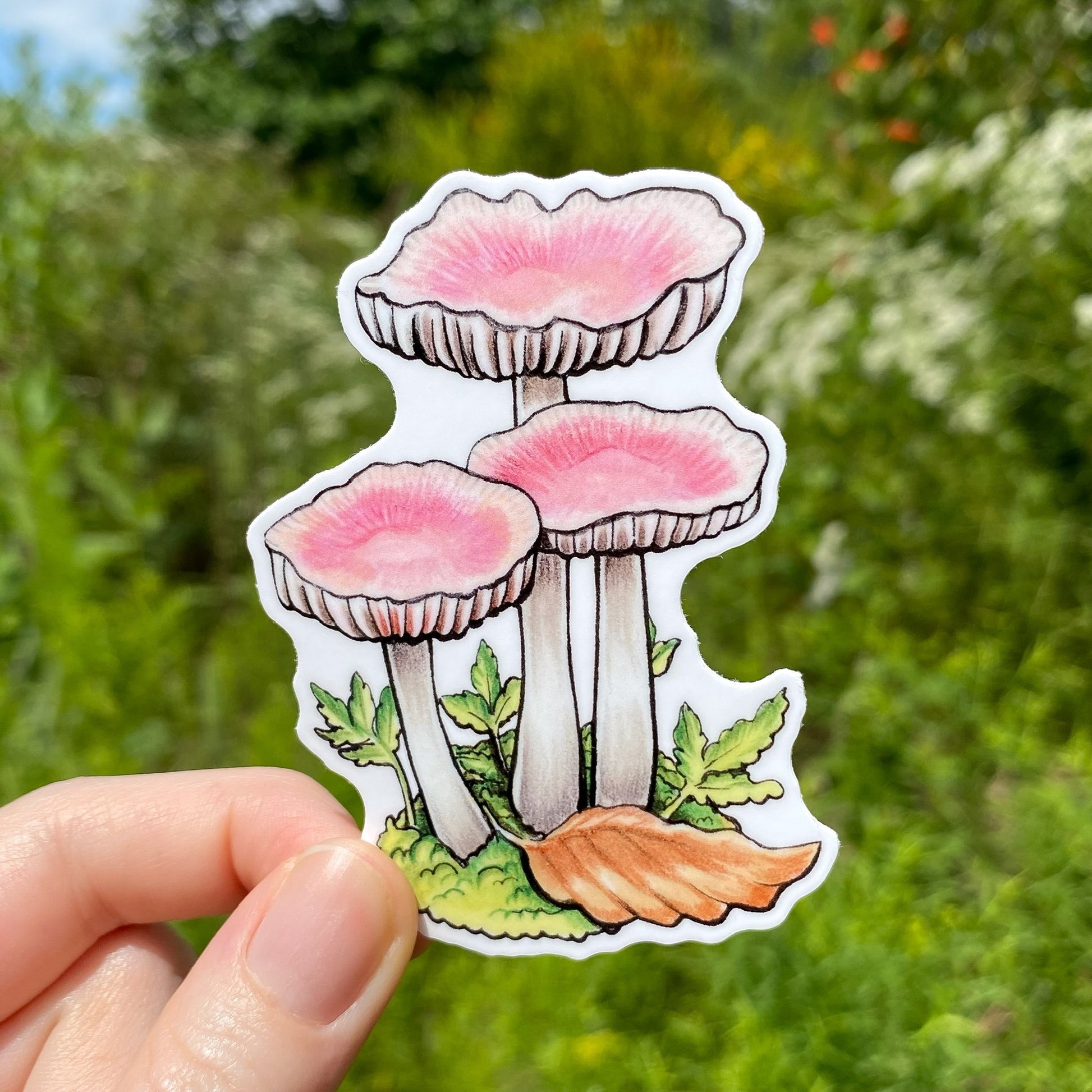 A hand holding a weatherproof vinyl sticker of a rosy bonnet mushroom.