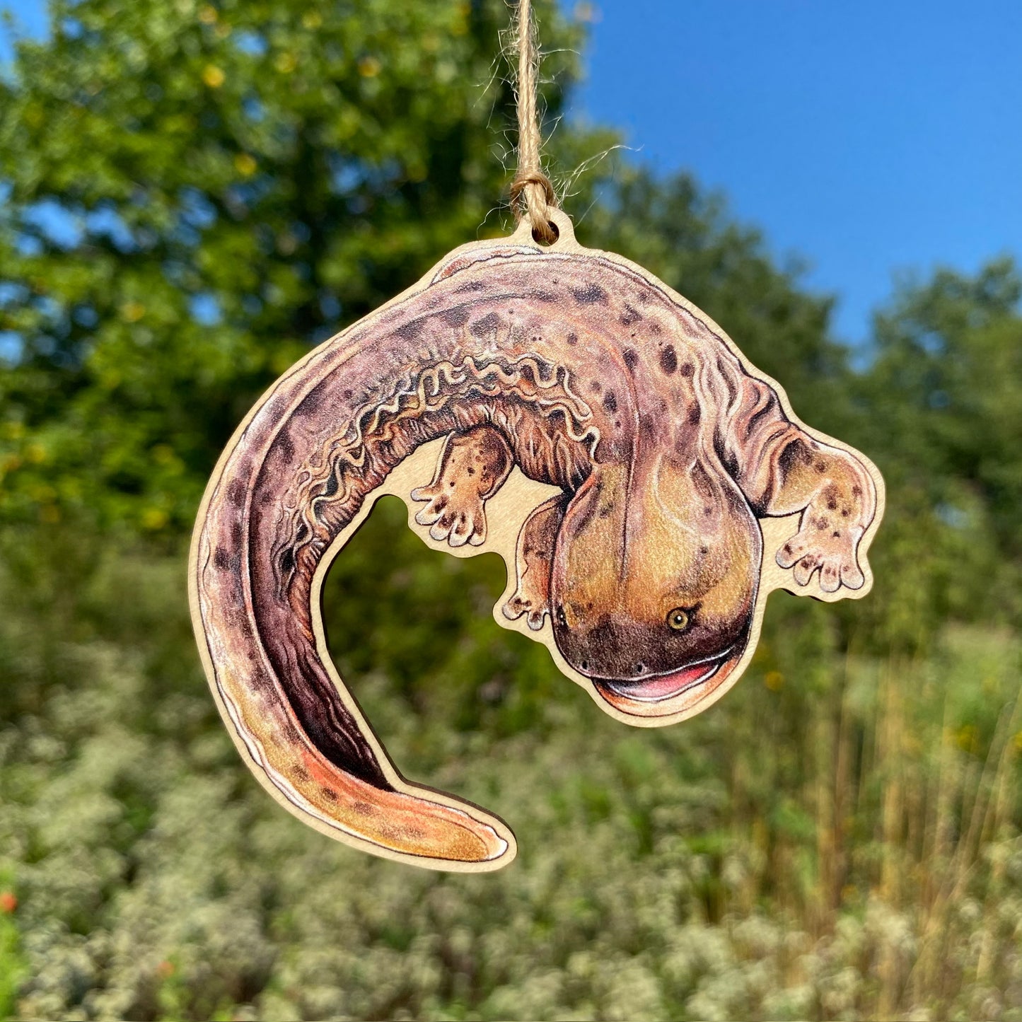 A wooden ornament strung with twine of a hellbender salamander.