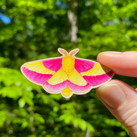 A wooden pin of a rosy maple moth on a white background.