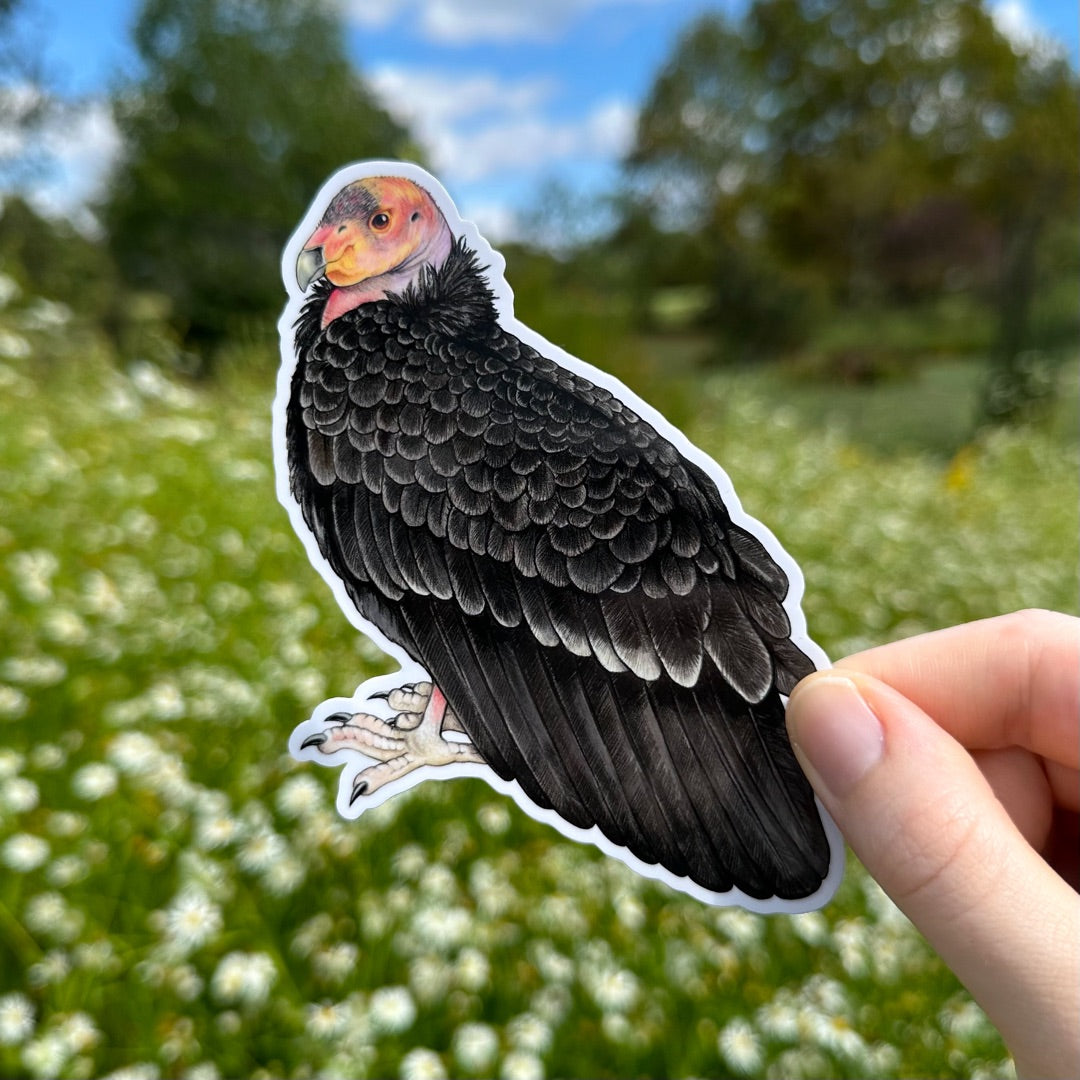 A hand holding a sticker of a California condor.