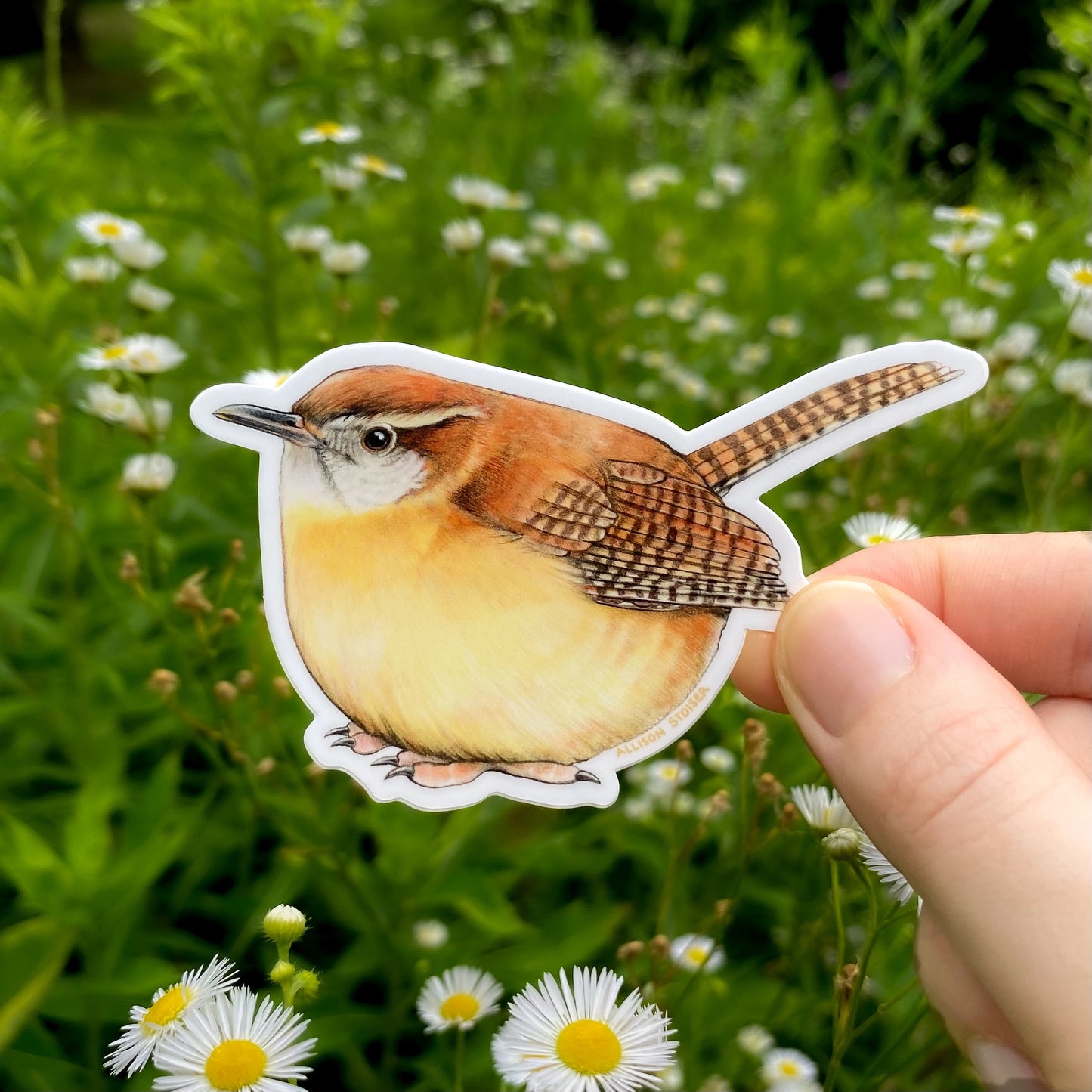 Hand holding a sticker of a Carolina wren in front of a natural background with greenery and flowers.