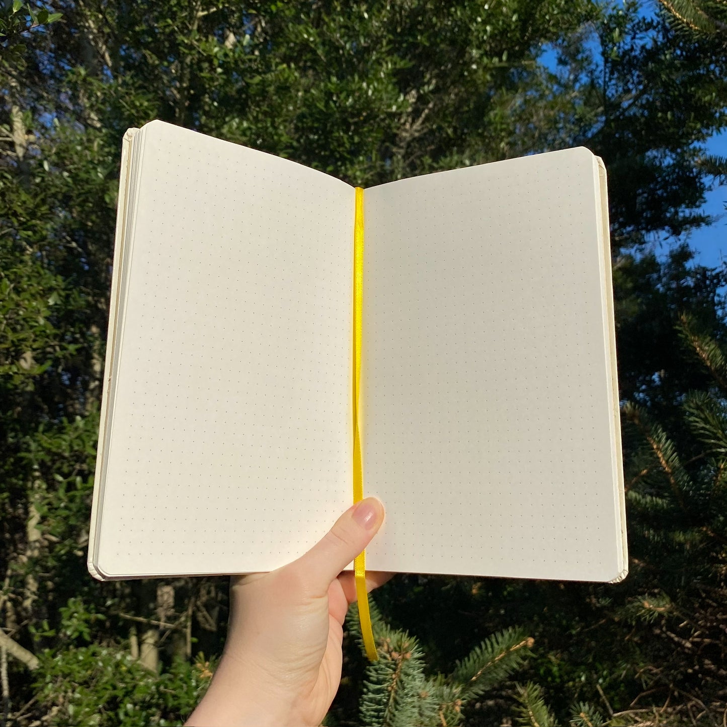 interior of a notebook showing dot grid pages and yellow ribbon