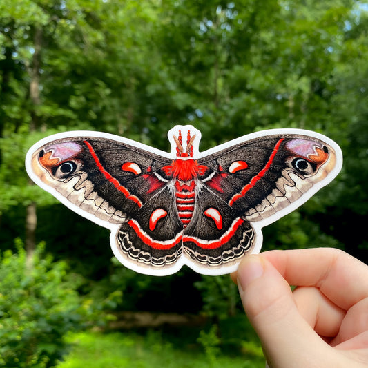 A hand holding a weatherproof vinyl sticker of a cecropia moth.