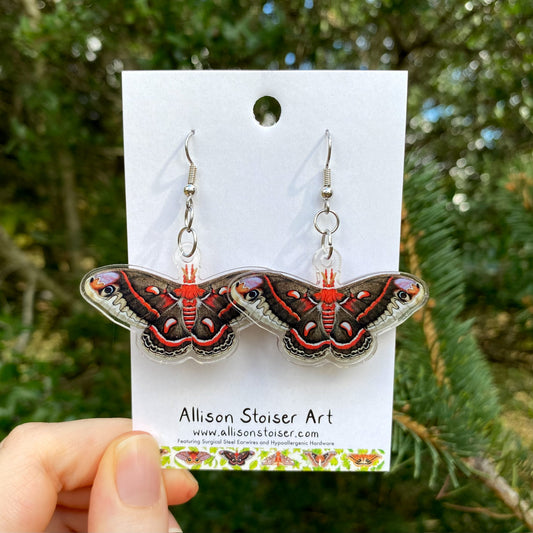 A hand holding a pair of cecropia moth acrylic earrings