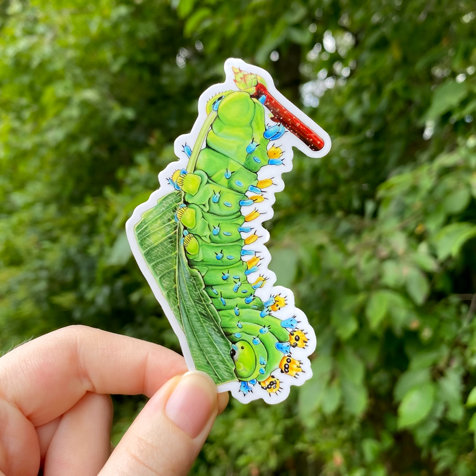 A hand holding a sticker of a cecropia moth caterpillar