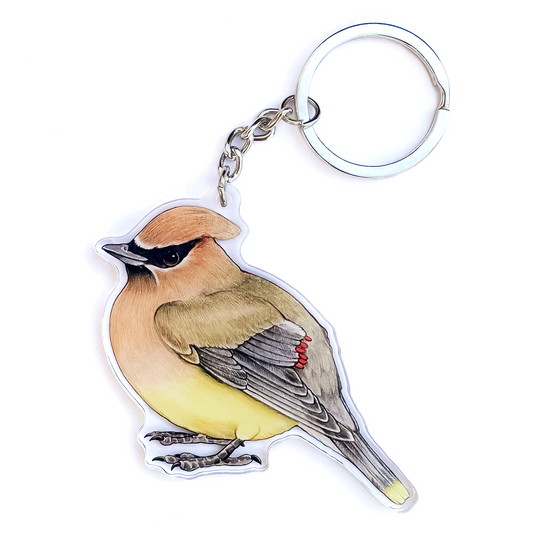 Cedar Waxwing Double-Sided Acrylic Keychain