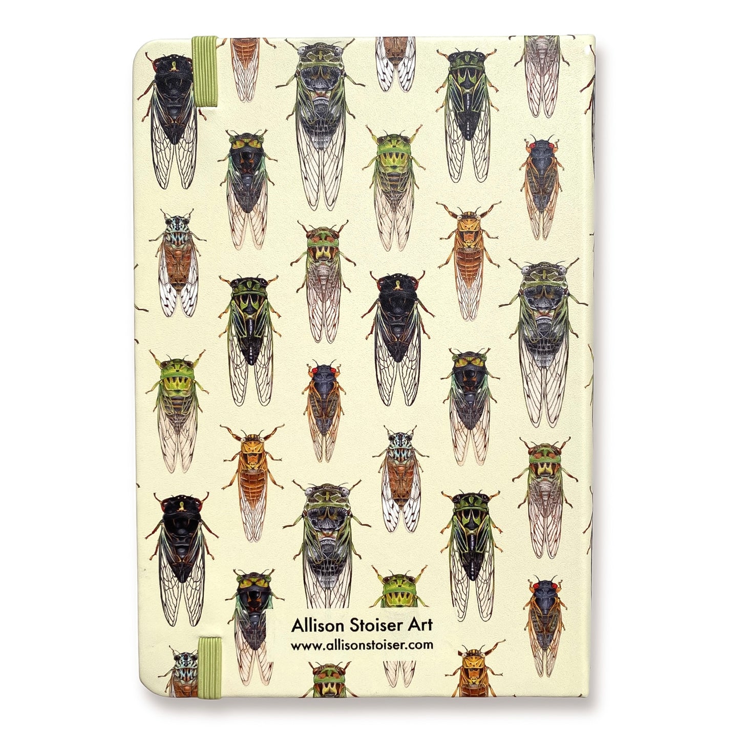 Cicadas of the Eastern United States A5 Hardcover Journal