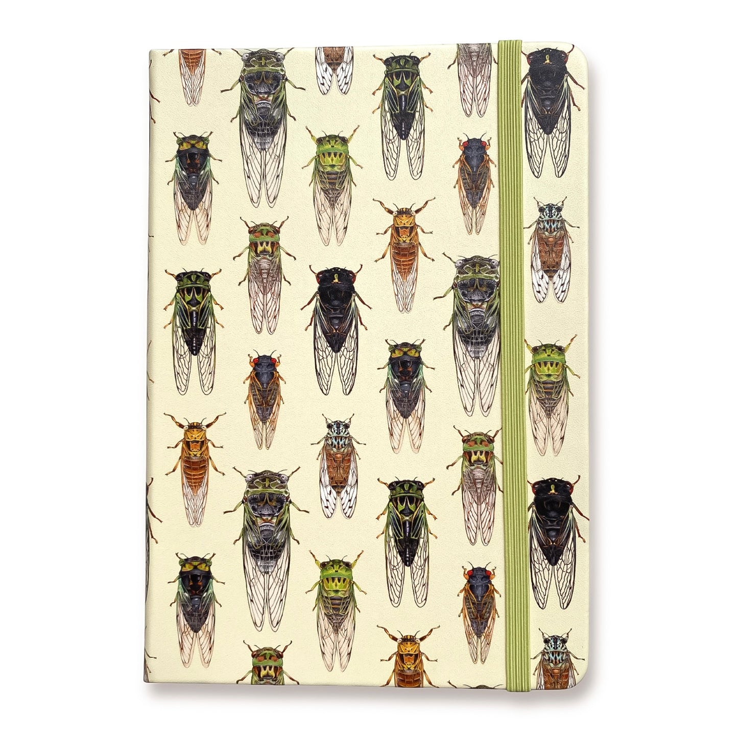 Cicadas of the Eastern United States A5 Hardcover Journal