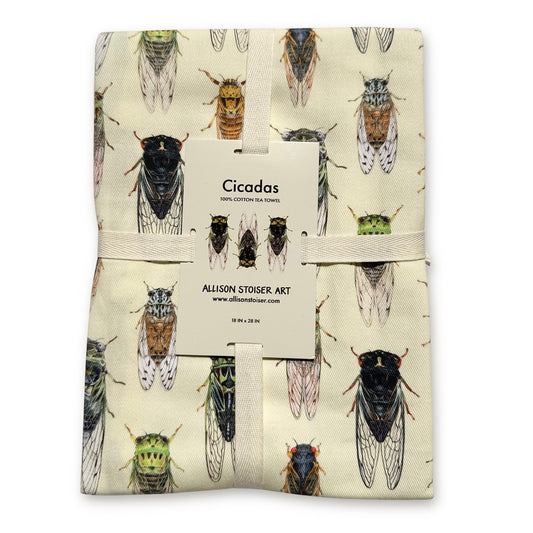A folded tea towel print featuring cicada illustrations on a cream background, wrapped with a beige ribbon and a white paper tag.