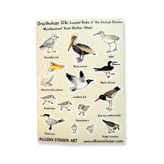 A sticker sheet of coastal birds of the United States.