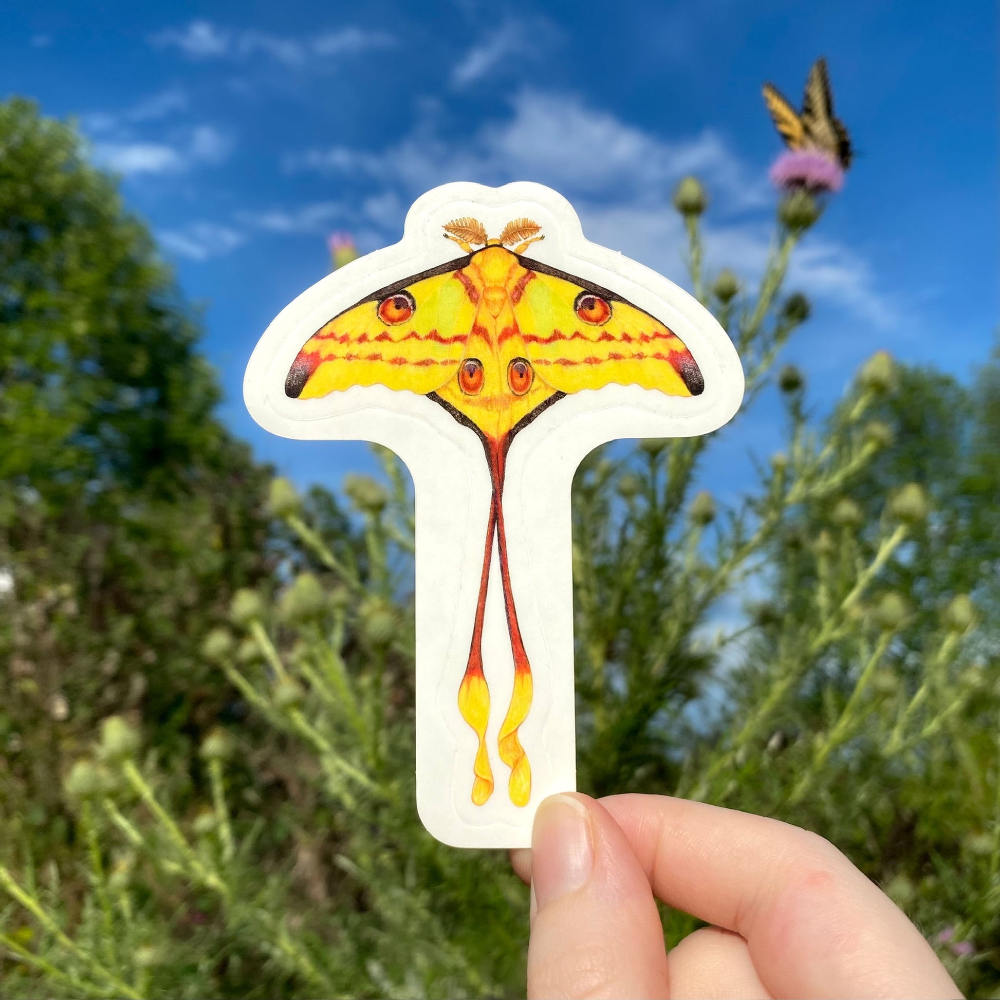 Hand holding a comet moth sticker with a natural background of trees and flowers.