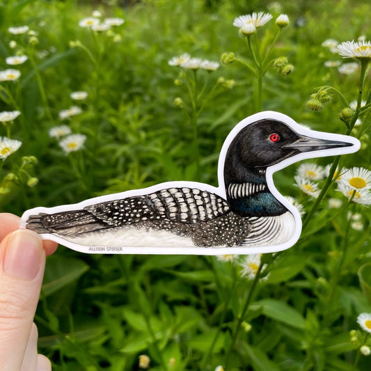 Hand holding a sticker of a common loon in front of greenery with white flowers