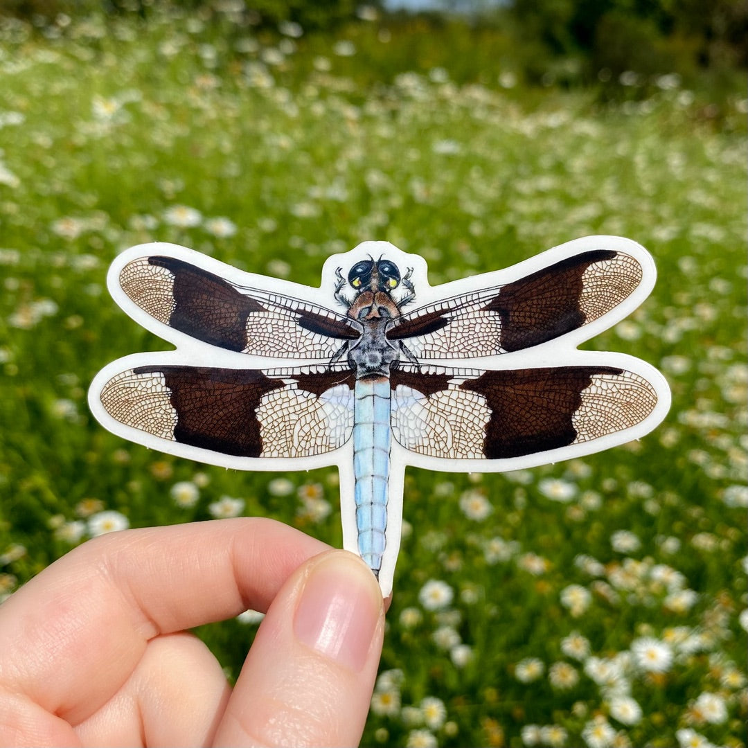 A hand holding a sticker of a pale blue dragonfly.