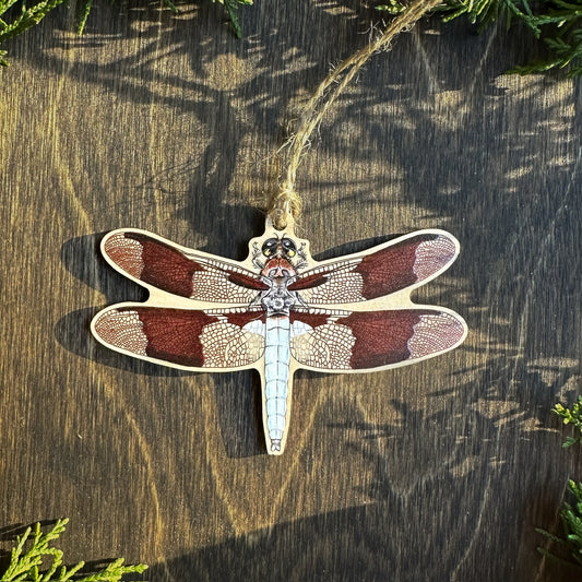 Common Whitetail Dragonfly Wood print ornament